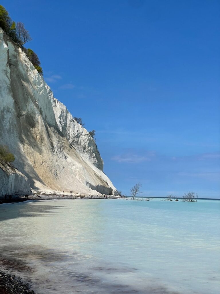 Møns Klint Kalksteinküste in Dänemark
